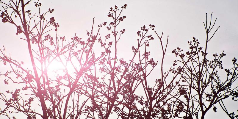 青海玉树结古寺与嘉那嘛呢石经城：探秘世界最大玛尼堆的信仰力量与雕刻艺术